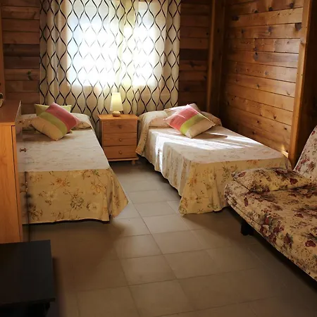 & Oasis אתר קמפינג