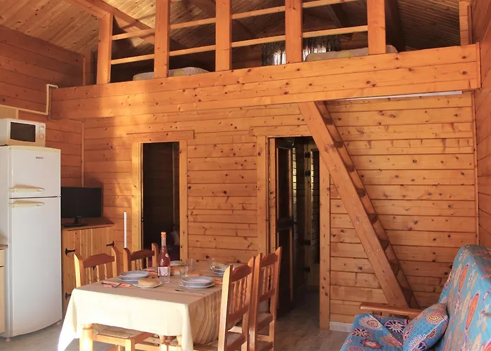 & Oasis Kamp alanı 4*